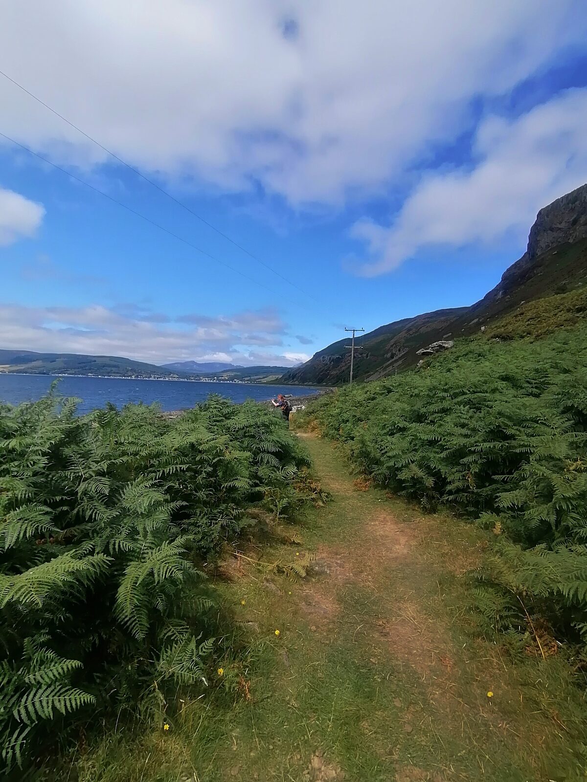 A path through the bracken beside the coast on Arran